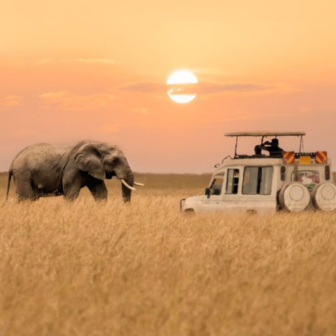 3 Days 2 Nights Masai Mara Safari- Group Joining