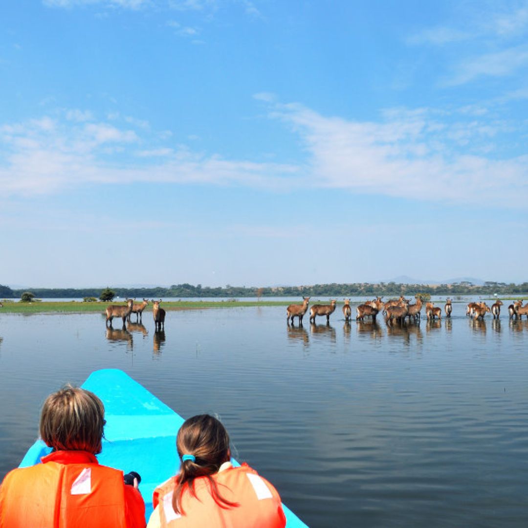 7 Days Kenya Group Joining Safari