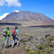 7 Days Lemosho Route