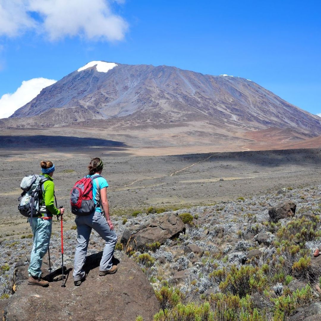 7 Days Lemosho Route